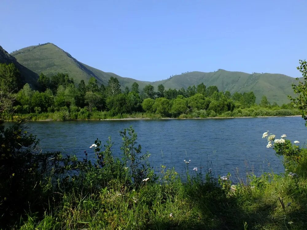 Горный Чарыш, село Чарышское. Горный Чарыш ,Сентелек Алтайский край. Чарыш горный Алтай. Алтайский край Чарышский район Усть Тулатинка. Гисметео чарышское алтайский край