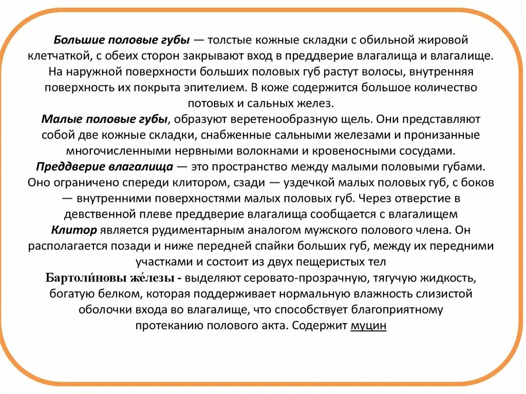 Функции половых губ. Большие половые губы функции. Почему клитор похож на пенис. Большие половые губы норма. Функции половых губ.