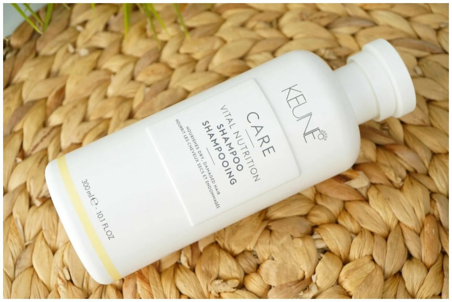 Keune tinta color шампунь. Keune шампунь для окрашенных. Keune care care sun shield oil. Keune шампунь для окрашенных. Keune себорегулирующий шампунь.