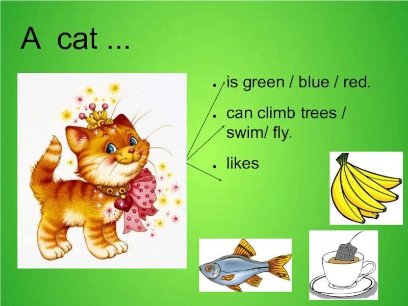 Can Cats Climb Trees. Картинки a Cat can Climb for Kids. Карточка a Cat can. This animal can Swim and Fly 2 класс английский. Out in the sun i can climb