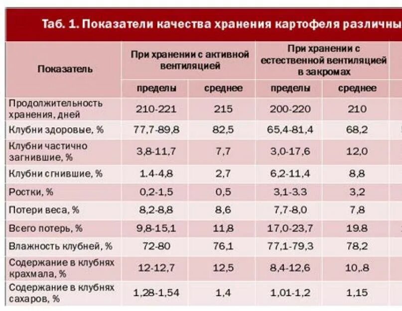 Хранение овощей нормы. Хранение картофеля температурный режим. Какая температура должна быть в погребе для хранения картофеля. Какая должна быть температура в погребе для хранения овощей. Оптимальная температура хранения картофеля в подвале.