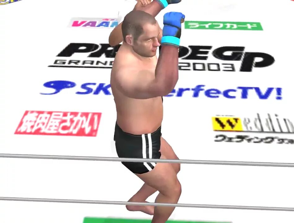 Pride игра. Прайд fc. бойцы прайда. pride fc промоушен. картинки pride fc.