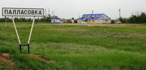 Рп5 палласовка волгоградская область