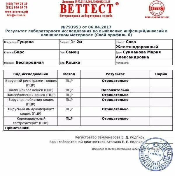 Анализ на иммунодефицит. ПЦР анализ. ПЦР тест. Анализ на кошачьи инфекции. ПЦР тест на коронавирус кошек.