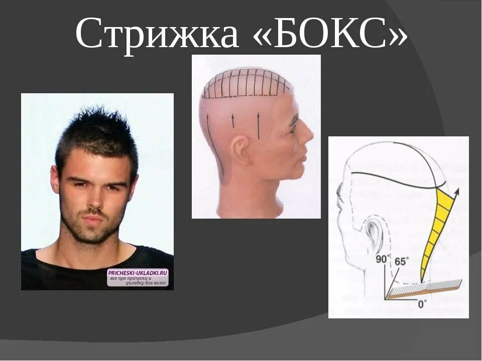 Мужская стрижка поэтапно. Стрижка полубокс мужская схема выполнения. Стрижка полубокс бокс схема стрижки. Схема стрижки полубокс мужчины. Технология выполнения стрижки полубокс схема.