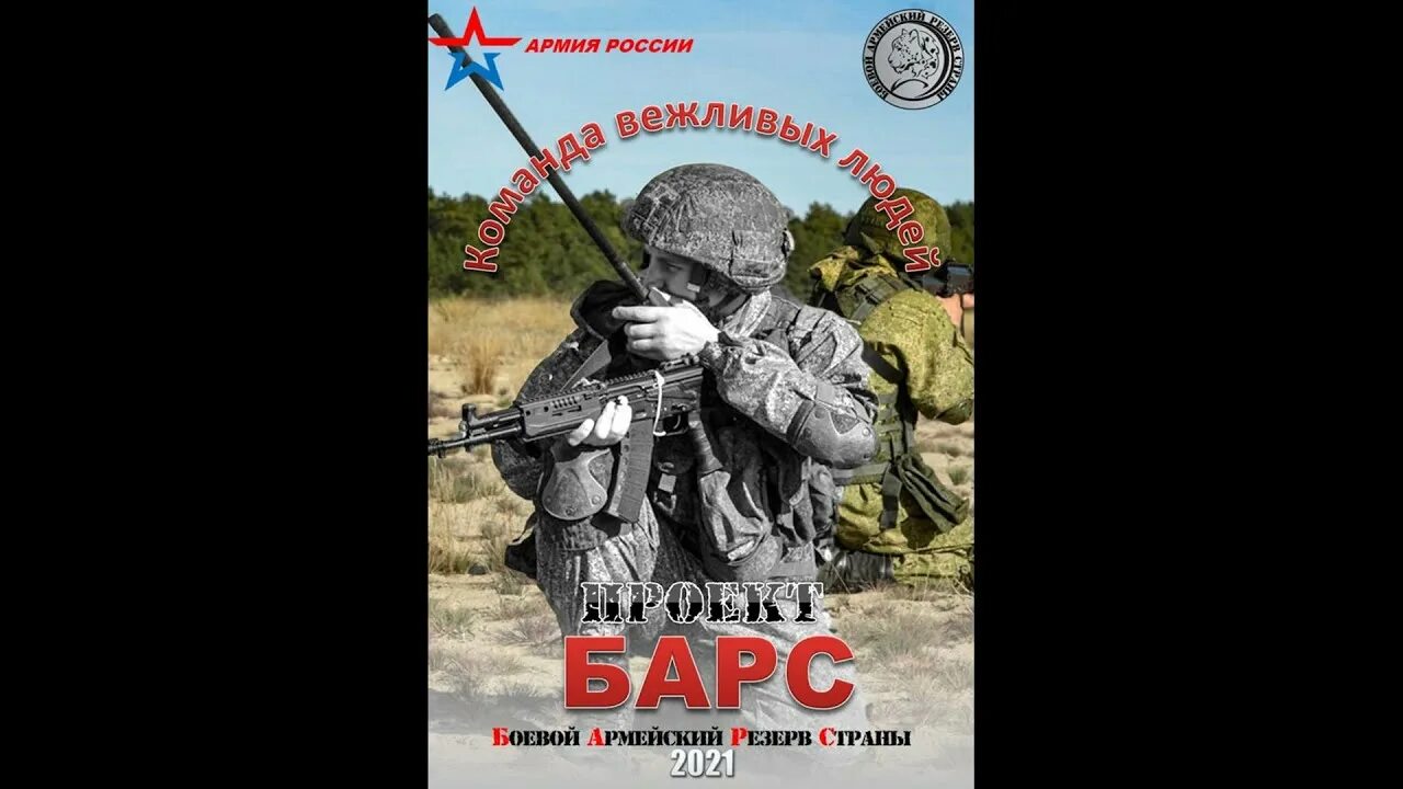 Барс боевой армейский. Барс резерв. барс мобилизационный резерв 2025. барс армейский резерв. боевой армейский резерв страны.