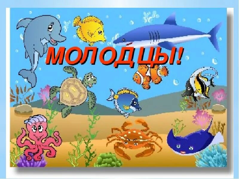 Морские обитатели для детей. Обитатели морей для дошкольников. Морские жители для дошкольников. Животные морей и океанов для детей. Живой мир морей и океанов подготовительная