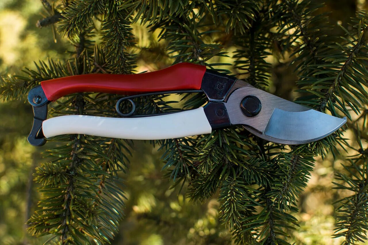 Японский секатор okatsune 103. Секатор okatsune 104. Секатор центроинструмент finland 1542. Секатор okatsune 103. Okatsune секатор.