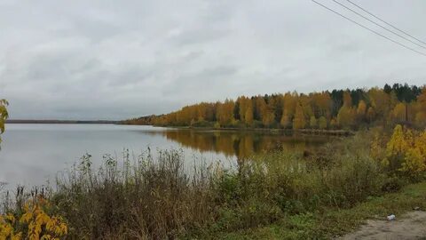 Погода клепики рязанской