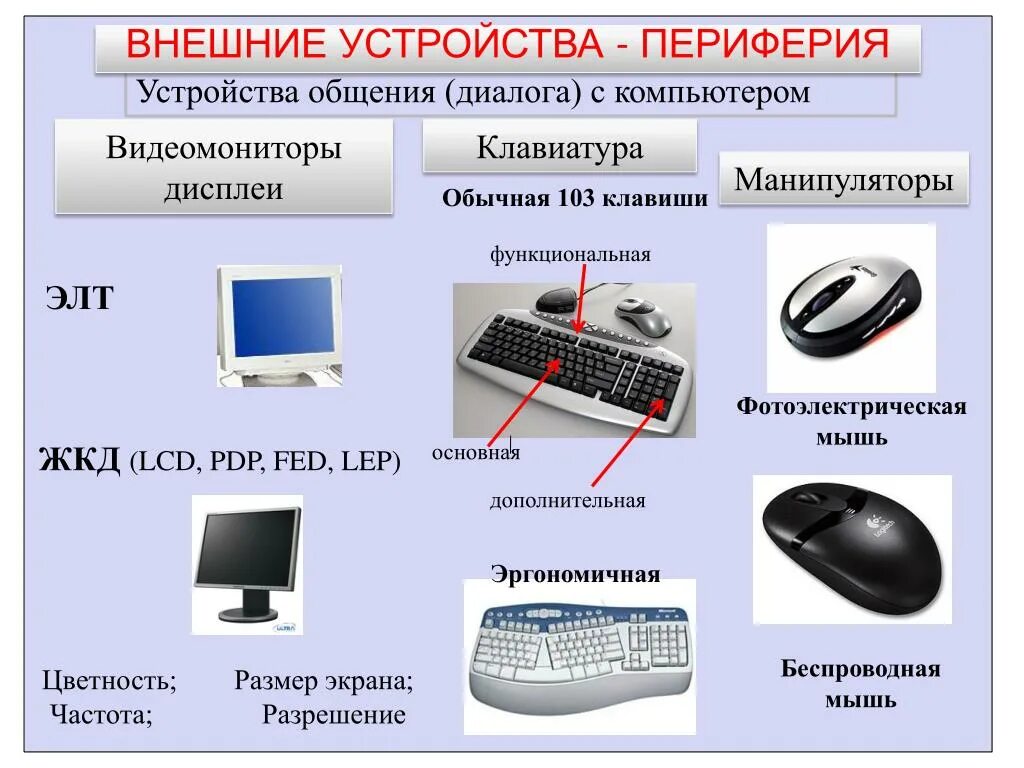 Виды персональных компьютеров устройство компьютера. Внешние устройства ПК. Внешние Периферийные устройства. Внешние устройства подключаемые к компьютеру. Внешние устройства ввода компьютера.