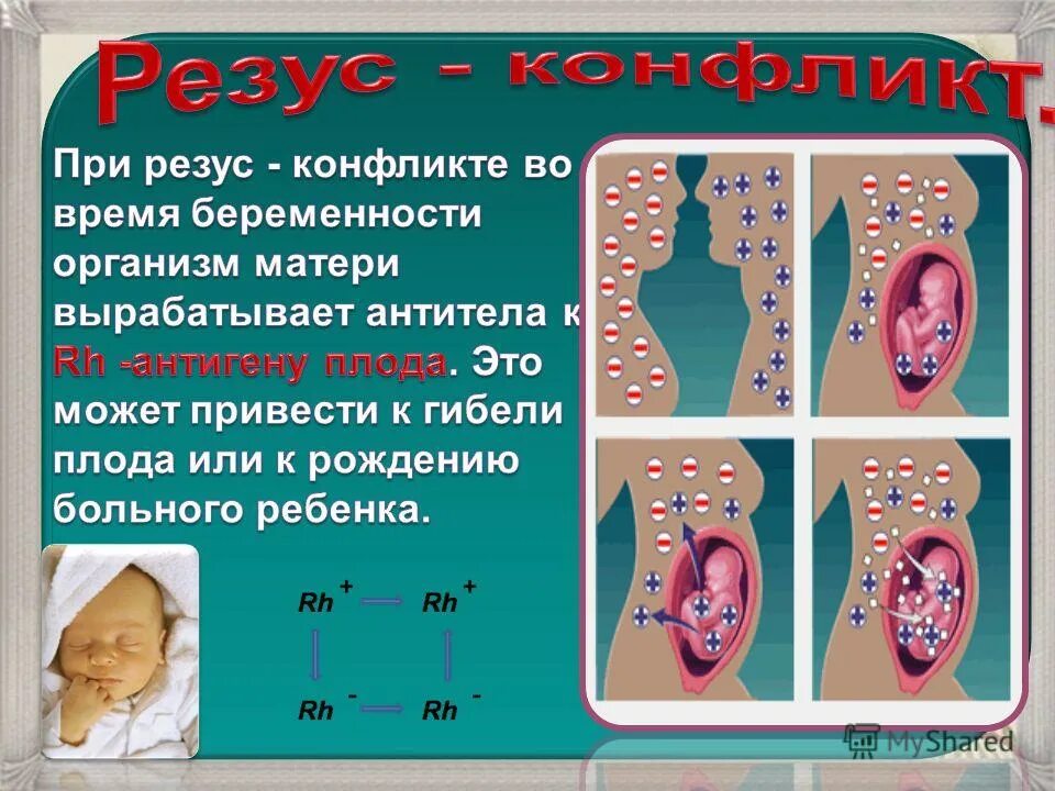 Группа конфликт матери и ребенка