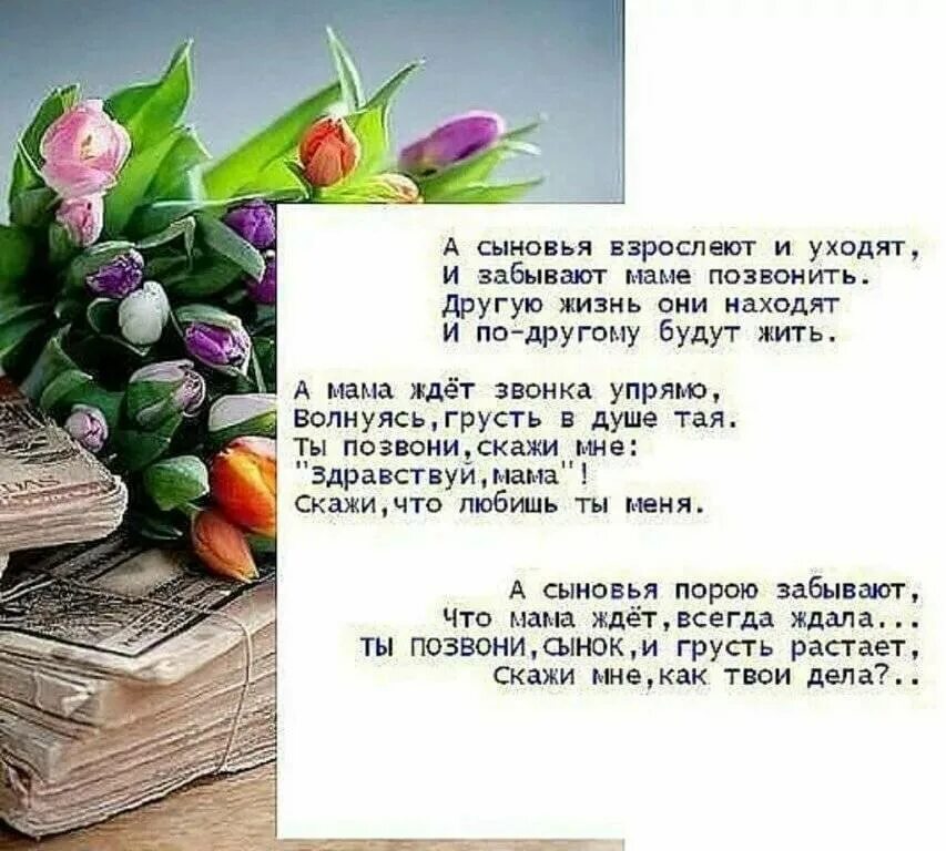 Поздравить матерей родивших сыновей