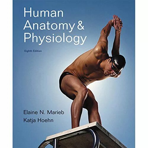 Человек ед. Marieb Anatomy and Physiology. Marieb Human Anatomy & Physiology. Essentials of Human Anatomy &Physiology Elaine n.Marieb. Interactive Physiology.