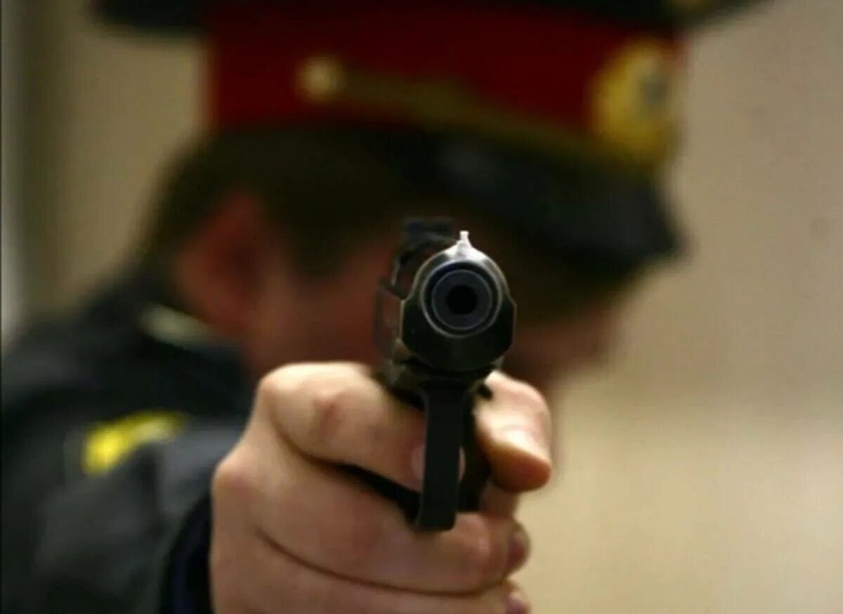 Стрельба в полиции. Стрельба в полиции