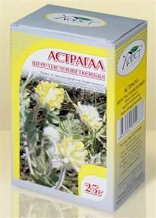 Астрагал в аптеке. Кошачьи лапки трава в аптеке. Трава кошачьи лапки другое название. Трава сухоцвет. Кошачьи лапки трава в аптеке.