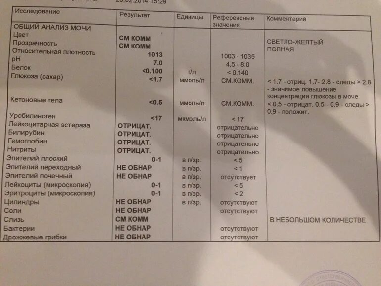 Аск в анализе мочи. Анализ мочи у детей. Ket в анализе мочи что это. Общий анализ мочи у детей. Анализ мочи расшифровка у детей.