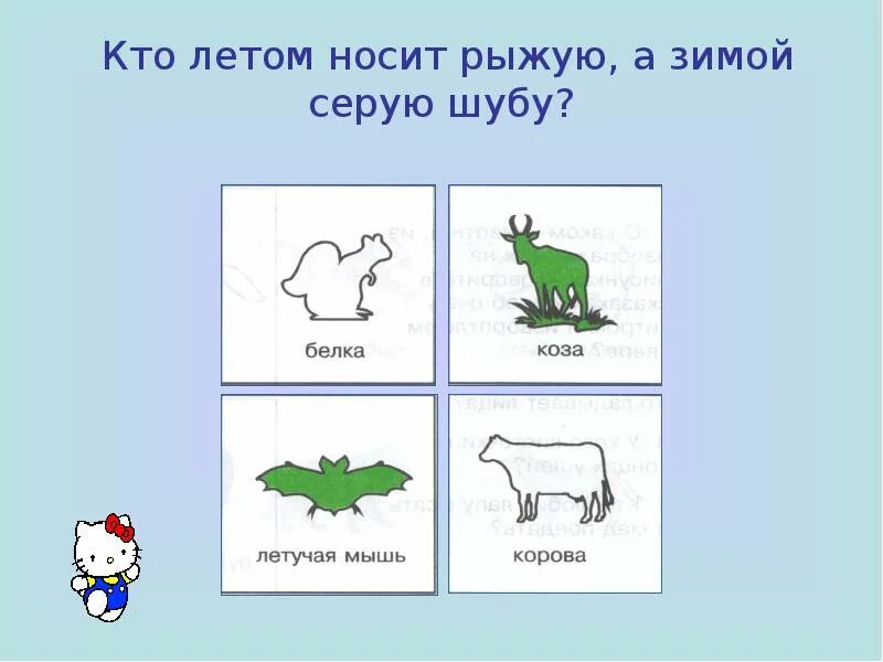 От каких бы то ни было. От каких бы то ни было