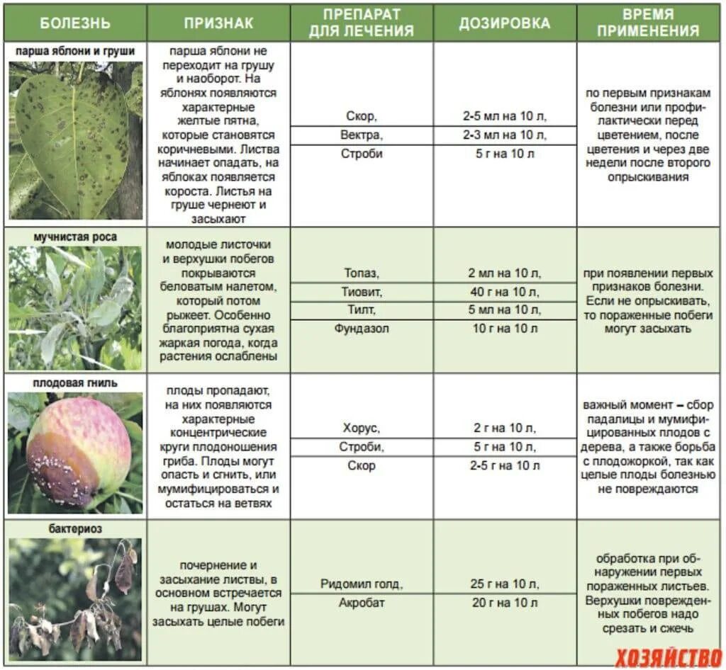 Обработка хвойных весной от болезней. Схема опрыскивания сада весной. Таблица препаратов для обработки растений от вредителей. Схема удобрения яблонь. Схема обработки яблонь весной.