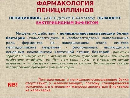 Пенициллины эффективны в отношении