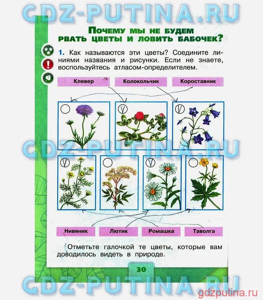 Окружающий мир тетрадь 1 класс страница 31. Цветы окружающий мир 1 класс рабочая тетрадь. плешаков 1 класс окружающий мир цветы. окружающий мир 1 класс рабочая тетрадь плешаков 1 часть стр 28. цветы окружающий мир 1 класс рабочая.