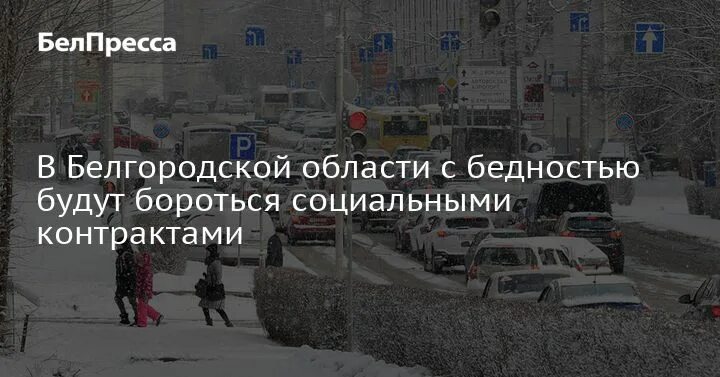 Голосование в белгородской области 2024. Социальные контракты в Белгородском районе. Социальные контракты жителей Белгородской области. Социальные контракты с фото Белгородская область.