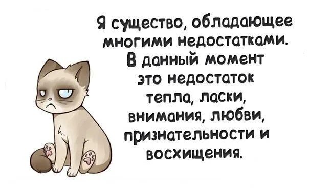 Все внимание будет твоим. Хочется ласки и заботы. Хочу тепла и ласки. Хочется тепла и ласки. Хочется тепла и ласки цитаты.