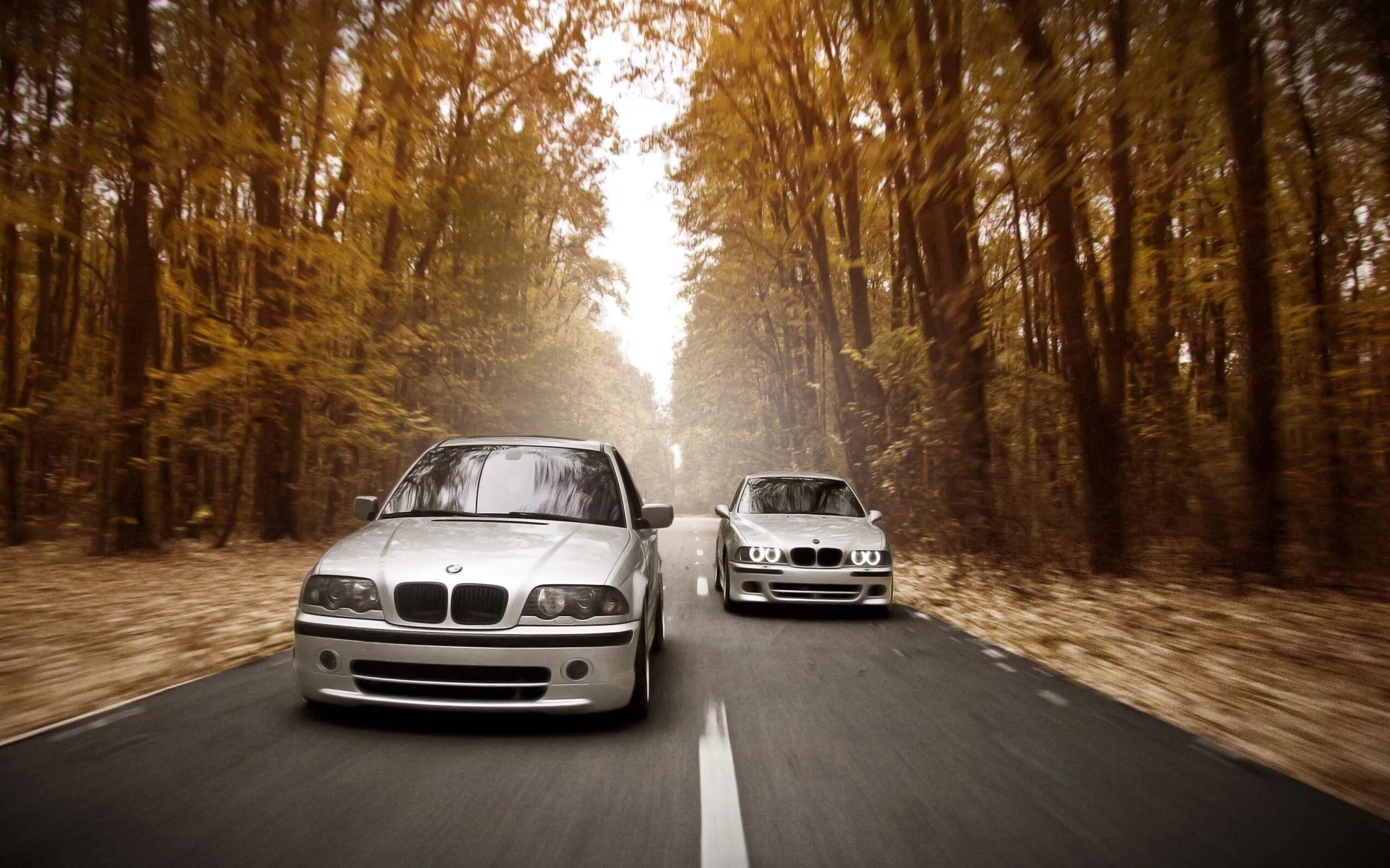 Машине почему е. BMW 5 е39. BMW e39 stance works. BMW e46 e39. БМВ е39 дорестайлинг.