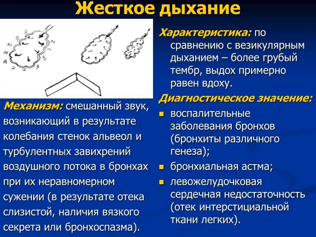 Жесткое везикулярное дыхание. Жесткое дыхание. Механизм образования жесткого дыхания. Жесткое дыхание характеристика. Признаки жесткого дыхания.