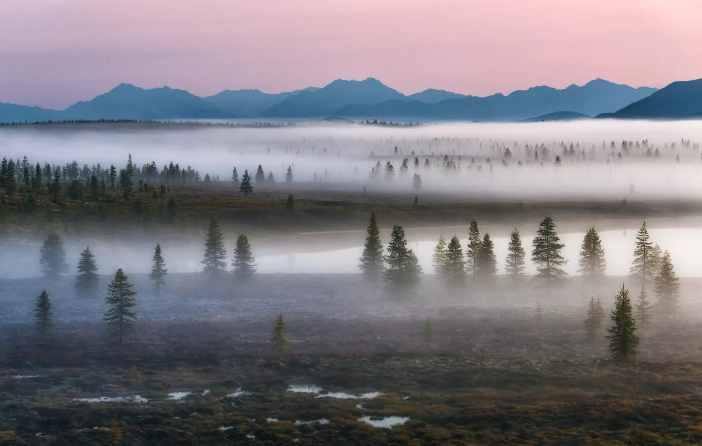 Пелена это. Андрей Грачев фотограф. Магадан туман. Север Колыма. Пелена тумана.