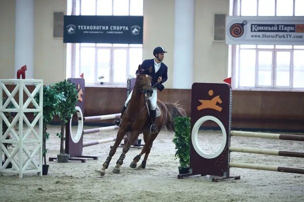 Кубок конный спорт