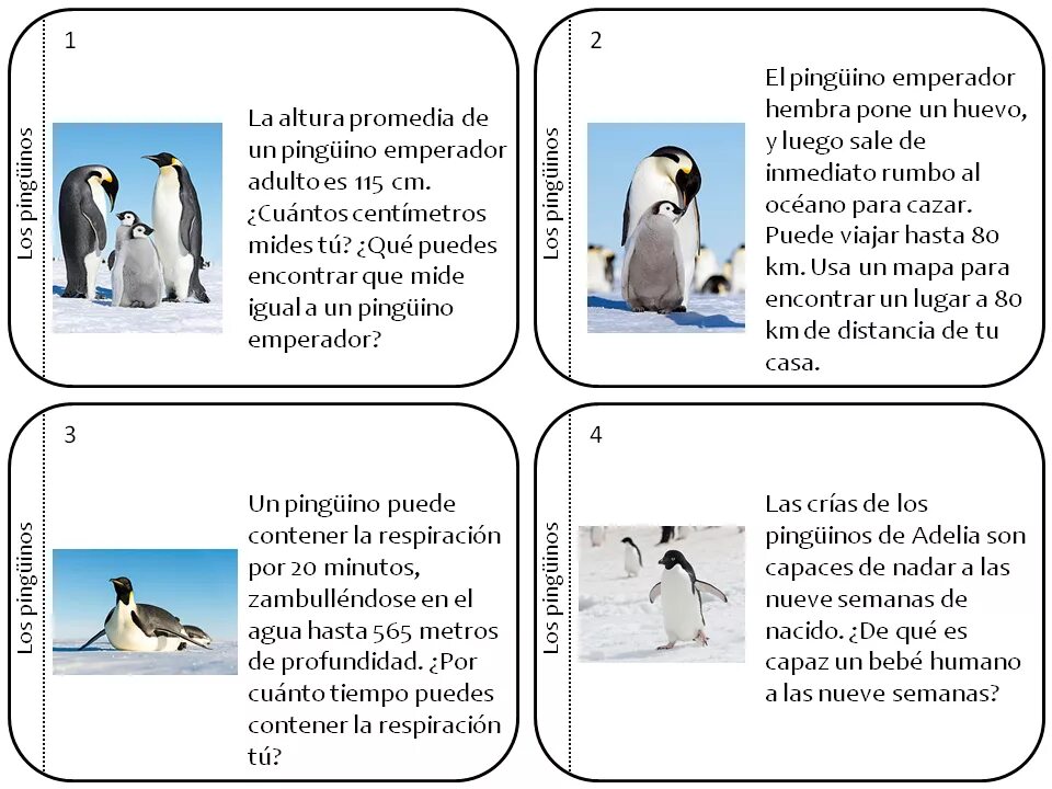 Penguin транскрипция. Facts about penguins for kids. краткая характеристика пингвинов. пингвин транскрипция. пингвин fun for kids.