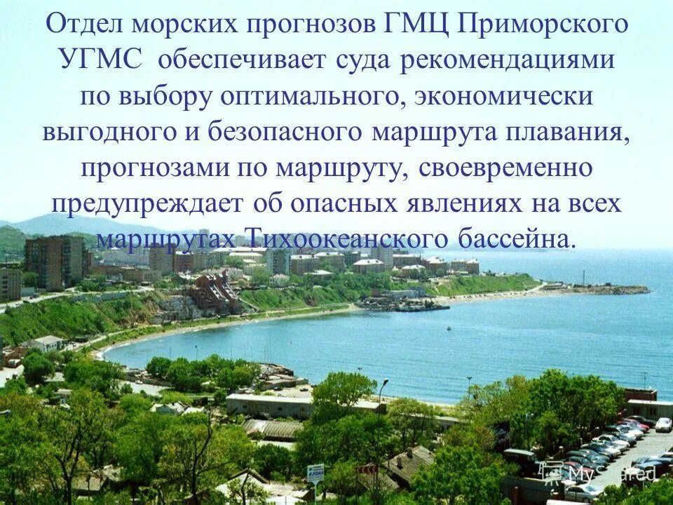 Морской прогноз приморский