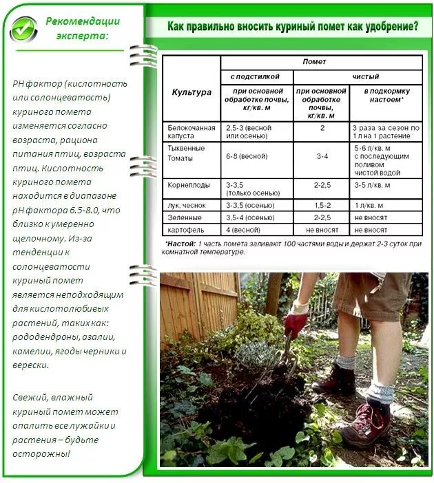 Куриный помет при посадке. Подкормка растений. Удобрения для сада. Удобрения для сада схема. Куриный помет для огорода.