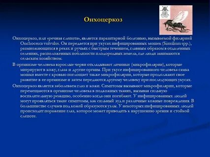 Онхоцеркоз