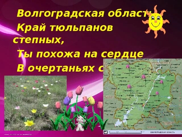 Природные зоны Волгоградской области. Зона степей Волгоградская область. Природная зона степь в Волгограде. Волгоградская область край тюльпанов стих. Какая природная зона в волгоградской области