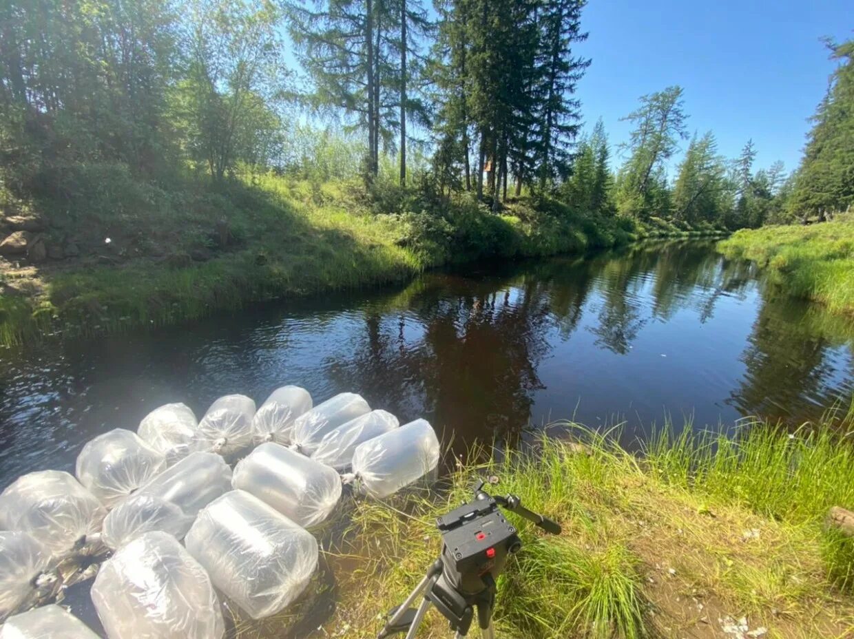 4 место среди рек якутии. Зарыбление АЛРОСА. Пруды в Якутии. Якутская река своими руками.