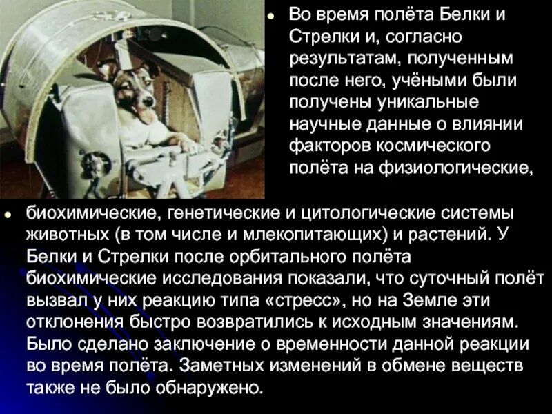 Что делают после полета. Факторы космического полета. что случилось с белкой и стрелкой после полета в космос. собаки космонавты. белка и стрелка что с ними стало после полета.
