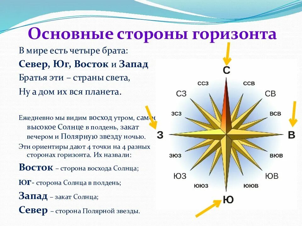 Распредели все стороны горизонта по группам