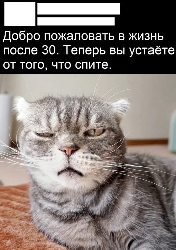 Сижу на работе и думаю. Не надо меня будить. Понедельник день бездельник. Не надо меня будить. Я дрыхну.