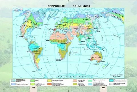 Любая природная зона земли