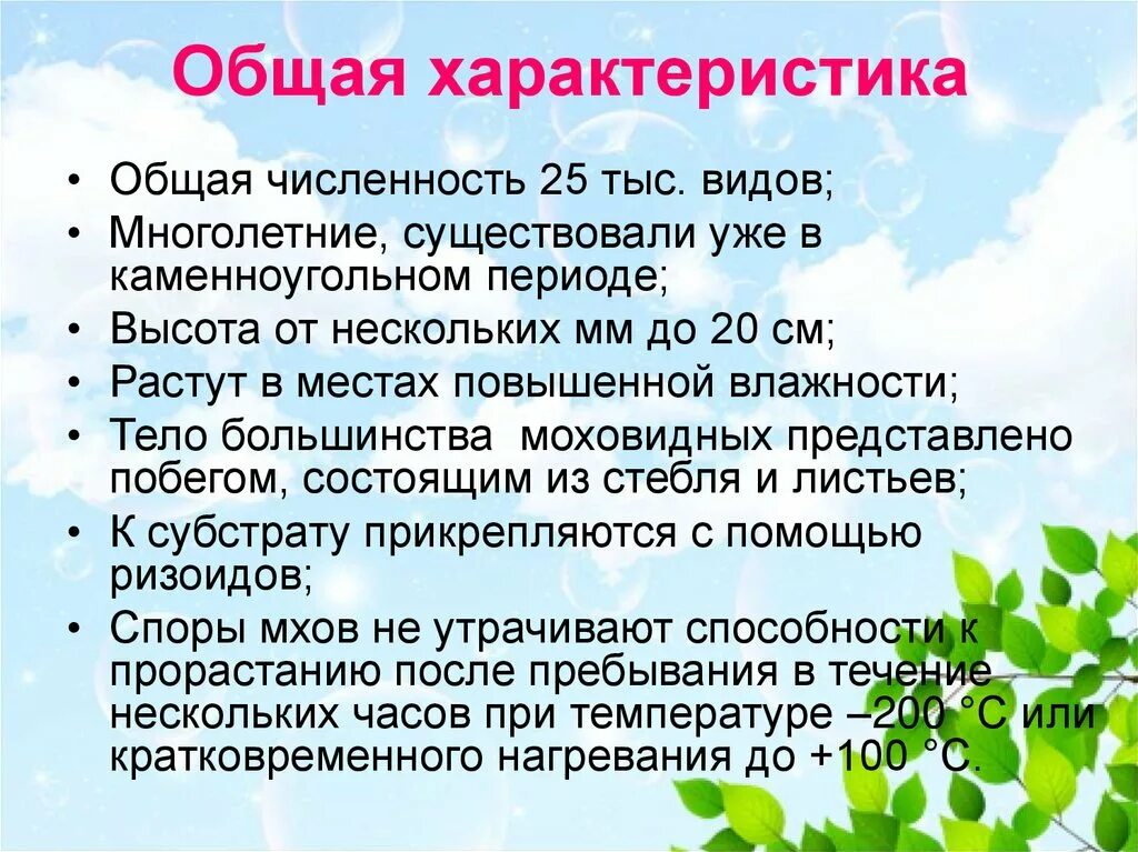 Общая характеристика мхов. Особенности строения моховидных растений. Проект на тему мхи. Краткая характеристика мхов. Характерные признаки мохообразных.