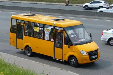 Рута нова
