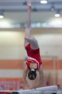 Спортивной гимнастике 2019
