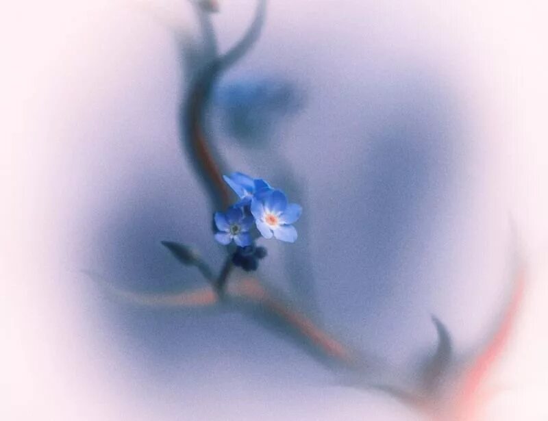 L forget. Git lost zotd. Nfd melodic brothers,bryan milton, natune - lethargy. Саундтрек. T o b o l музыка.