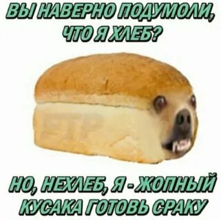 Гавкошмык