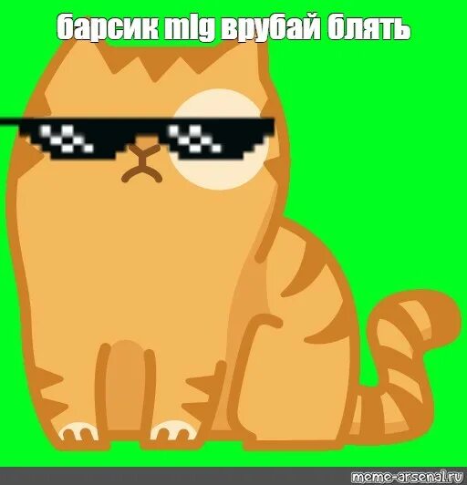 Скачать мем с котами на зеленом Pin de Nah em animais Memes hilários, Imagens hilárias e Memes engraçados