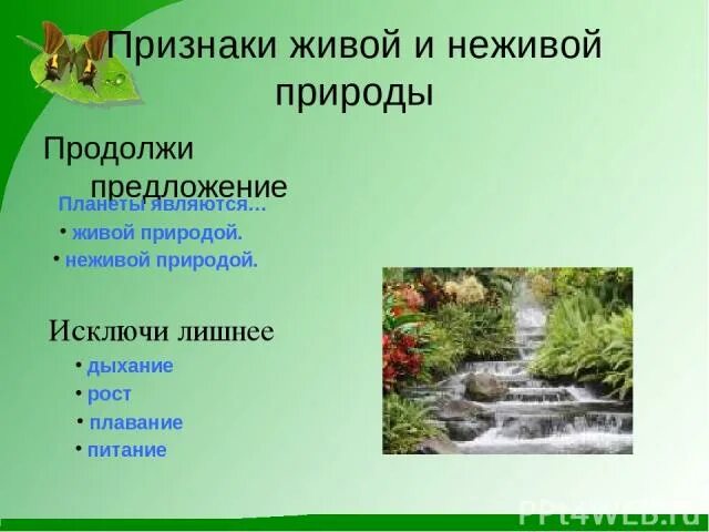 Переход от неживого к живому. Признаки живого и неживого. Признаки неживой природы. Признаки живой природы. Продолжи предложение Живая и неживая природа.