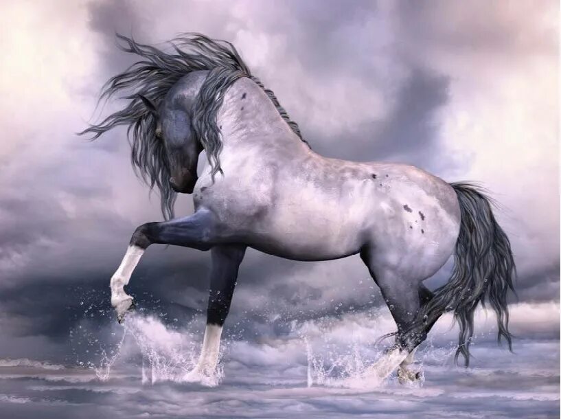 P. Вороной конь. Гта сан андреас лошади. Тотем лошадь 2022 (1925, 1957, 1989, 2021, 2053). Код лошади.