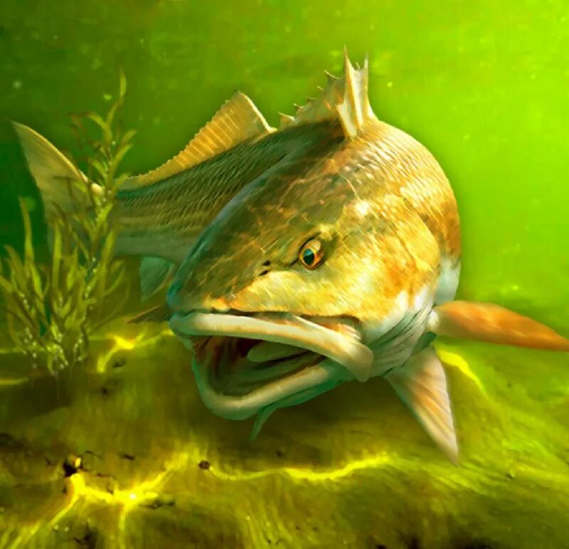 моя рыбалка игра. игра my fishing world. май фишинг ворлд. My fishing world на андроид. My fishing world андроид.