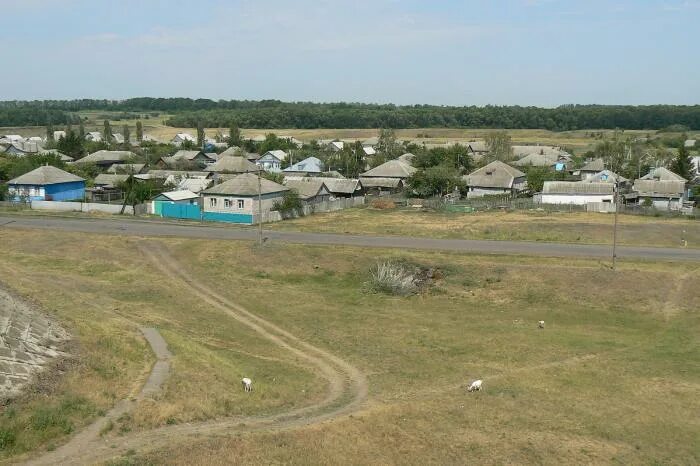 Абрамовка посёлок Таловский. Абрамовка Воронежская область Таловский район. Абрамовка (село, Таловский район). Воронежская область пос Анохинка Таловского района.